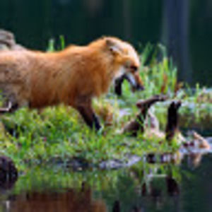 Meet your Posher, Moody